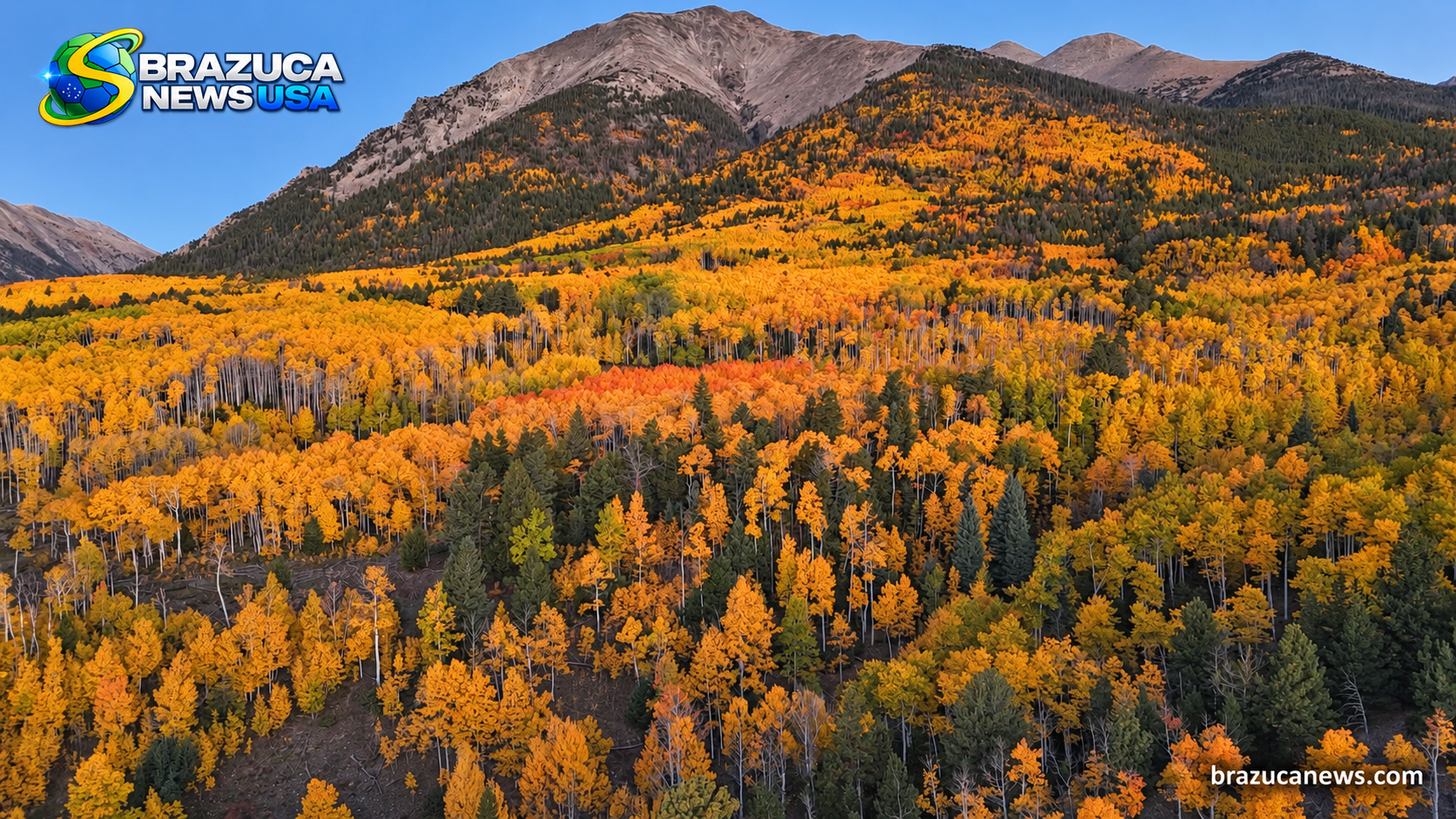 Seca adianta a cor das aspens no Colorado, e especialistas recomendam subir a serra uma semana antes